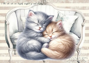 V IWi n L L pln nhChf Ntg AbvP