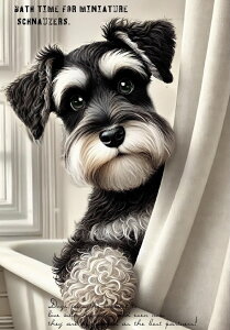 V IWi n  Vi ~j`AViEU[ ViEU[ pln nhChf