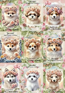 V n pln nhChf Ntg AbvP V[Y[ |jA ` Č nXL[ R[M[