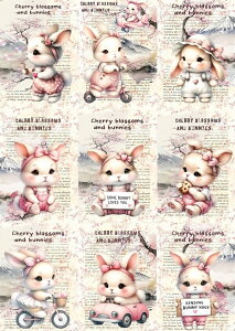 V n  ETM ubNfUC nhChf pln ZsA re[W̎q pgbNf[