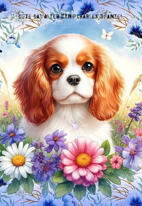 V IWi n  ubNfUC nhChf pln LoALO`[YXpjG