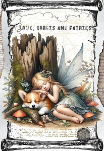 V IWi n  R[M[ pln ubNfUC nhChf Ntg AbvP