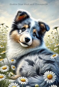 V n VFeB[ VFbghV[vhbO ubNfUC nhChf pln