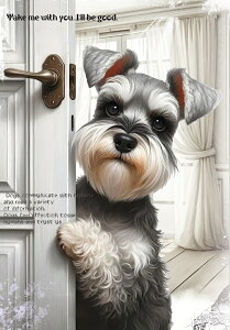 V IWi n  Vi ~j`AViEU[ ViEU[ pln nhChf