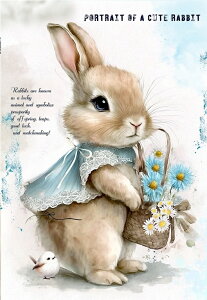 V n  ETM ubNfUC nhChf pln