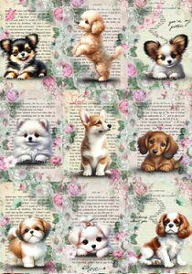 V IWi n  ` upln R[M[ V[Y[ gCv[h }`[Y @|jA LoALO`[YXpjG