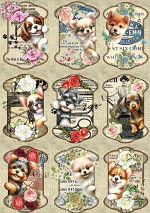 V IWi n  pln LoA ` Č ViEU[ _bNXth [L[ |jA R[M[