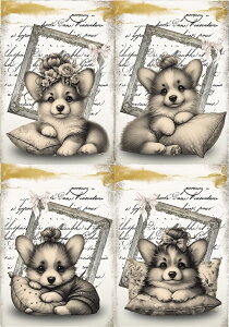 V IWi n  R[M[ pln ubNfUC nhChf Ntg AbvP