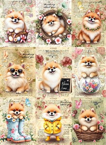 V IWi n  |jA ubNfUC nhChf Ntg AbvP pln