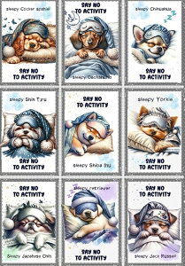 pln  V[Y[ [L[ _bNXth ` Č ` WbNbZeA uh[go[