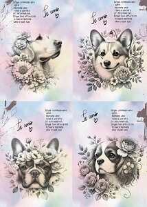 pln  LoALO`[YXpjG R[M[ t`uhbO @S[fgo[