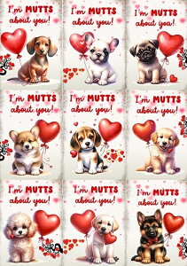 pln  r[O R[M[ gCv[h pO tu _bNXth S[fgo[ uh[go[