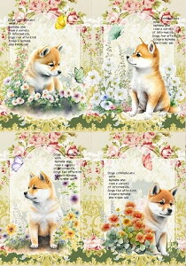 V IWi n Č ubNfUC nhChf pln