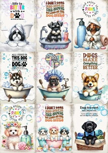 pln  pO R[M[ nXL[ V[Y[ ViEU[ _bNXth