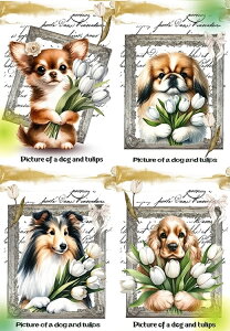 pln  RbJ[XpjG ` yLj[Y VFeB