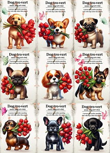 V pln  LoA pO uh[go[ _bNXth R[M[ VFp[h t`uhbO