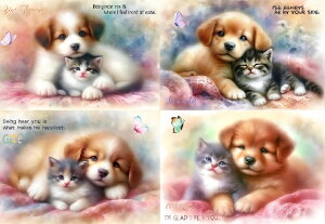 V IWi n  L q qLpln nhChf pln