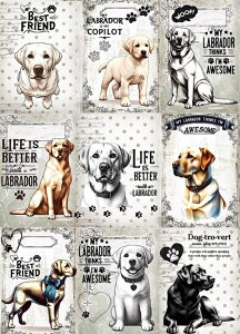 V IWi n  pln uh[go[ S[fgo[ nhChf pln