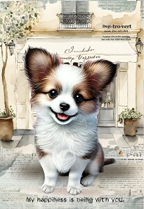 V IWi n  ps ubNfUC nhChf pln tNE