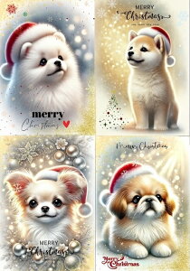 V pln  NX}X Č ` |jA yLj[Y