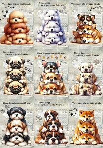 V pln  gCv[h V[Y[ Č TGh R[M[ pO ` V[Y[ Č pO uh[go[