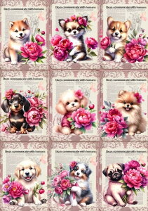 V pln  ~j`A_bNXth pO R[M[ gCv[h |jA S[fgo[ Č `