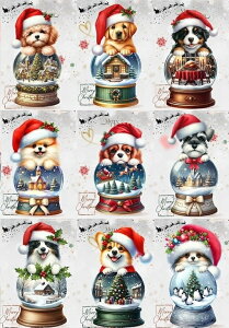 V pln  ` gCv[h LoALO`[YXpjG uh[go[ |jA {[_[R[ R[M[ ViEU[ gCv[h o[j[Y