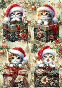 V n nhChf pln L NX}X