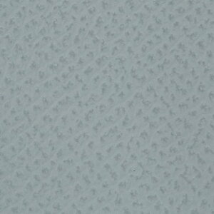 �yMr.Stone�z�t�W�t�B���� X half (X-HF1) ��p �{�v �{�f�B�P�[�X �O���b�v�X�^�C��