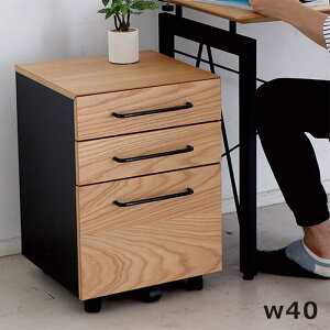 fXNS X`[ X 40cm TCh`FXg fXNS fXN[ Lrlbg fXN o [ 3i fXNTCh[ TChS i` ubN ؖڒ X`
