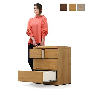 [ ^X `FXg LX^[t 3i 60cm s44.5cm X ؐ ˍ [ [`FXg N[[bg[ o N[[bg^X N[[bg`FXg  z