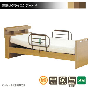 【マラソン期間中 全商品ポイント10倍】電動リクライニングベッド 介護用ベッド 電動 介護用ベッド 高さ調節可能 手摺り付き ツーモーター 高齢者 電動ベッド シングルベッド コンセント LE