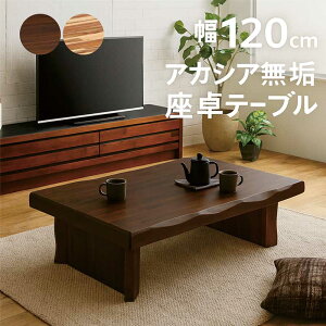  a C 120cm 120×80 AJVAC ꖇ   [e[u rOe[u ԑ e[u  ȂH tV ؐ ` i` uE 