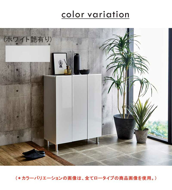 楽天市場】駄箱 大容量 幅50cm スリム ハイタイプ ミラー付き 鏡 