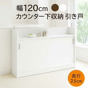 y9/14E9/15 48Ԍ SiP5{zJE^[[  s25 ^ 120cm HI Lb`JE^[ [ Lb`[ Ԏ[ XCh JE^[[ ^[ zCg 