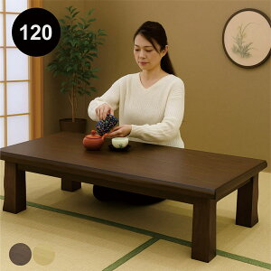  [e[u a 120cm 120×80 傫 ԑ a e[u rOe[u ` ~e[u a ~ a~ i` uE ^ޓ˔ AbV  