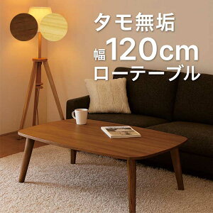 y}\Ԓ Si|Cg10{zrOe[u C 120 120x75 e[u ǂ S [e[u p ؐe[u i` uE ^C k JWA _