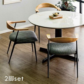 ダイニングチェア 肘付き 2脚セット 椅子 イス チェア ダイニング椅子 リビングチェア 食卓椅子 オフィスチェア デスクチェア デザイナーズチェア 木製 アイアン ファブリック 背もたれ 丸み グレー ベージュ おしゃれ 北欧 韓国 インテリア ホテルライク 新生活 一人暮らし