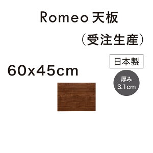 gݍ킹 R fXN V̂ 60cm 60×45 p\RfXN jbgfXN rO{[h [ Lrlbg rO [ I er{[h er jbg I[N EH[ibg