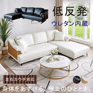 カウチソファ 白 レザー」の人気商品一覧 | 安い商品を通販サイトから 