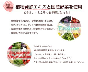 1袋プレゼントでこのお値段!ホワイトチアシード配合☆【選べる5つの福袋/フルベジFRUVEGE】アサイー/マキベリー/ピタヤ/ココナッツ/オイル/スムージー/ダイエット/酵素/ドリンク/グリーンスムージー/メイソンジャー/送料無料/スーパーフード1杯あたり39円