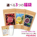 サンプルプレゼント☆置き換え　ダイエット　スムージー【フルベジ　FRUVEGE/福袋 3袋セット】ホワイトチアシード/アサイー/マキベリー/ピタヤ/パイン/ベリー/ダイエット 食品/置換え ダイエット/置換えダイエット/ポリフェノール/オリゴ糖/スーパーフード/乳酸菌