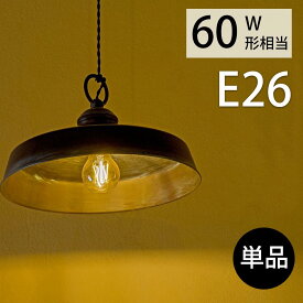 rico collection LED電球 60W形相当 単品 E26口金 8W 電球色 2700K 806lm フィラメント電球 エジソン電球 クリアタイプ レトロ電球 エジソンランプ 360°発光 非調光タイプ 2年保証 PSE認証済 1個入り