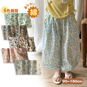 _2_ڂ20offN[|^rico collection q LbY Opc 悯 Y{   ⊴ tėp ԕ `FbN  ȍ Rbg ̎q h  JWA XEFbg 