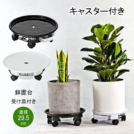 楽天市場 鉢皿 サイズ 植木鉢 3号 植木鉢 プランター ガーデニング 農業 花 ガーデン Diyの通販