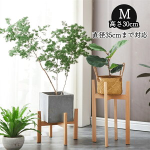 yԌ聚15N[|zrico collection t[X^h VR   X^h |bg X^h ؐ Jo[ ϗtA  ԑ u t[|bg EbhX^h ui A