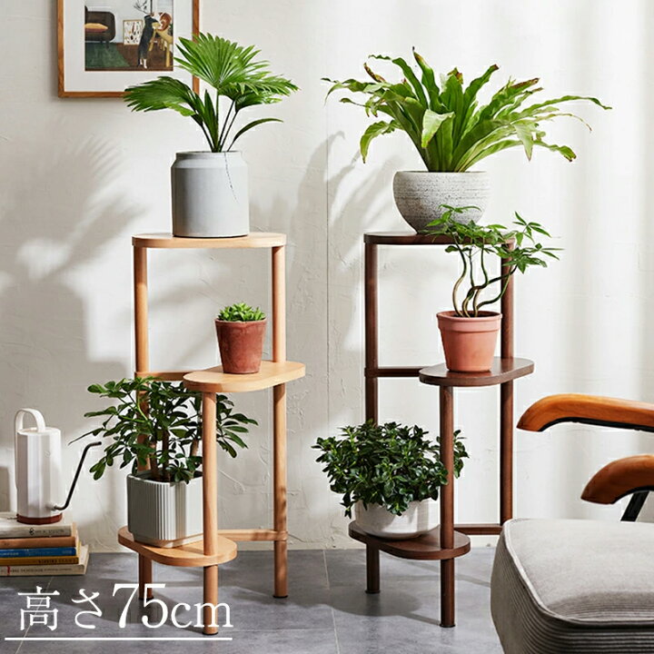 楽天市場】【15％クーポン】【再発売】rico collection 天然木 
