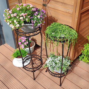 rico collection t[X^h ACA 2i  fR[VX^h K[fjO ԑ v^[  O I |bN V | u X  R[i[bN 