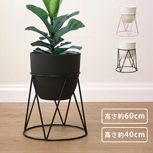 |bg X^h t[X^h t ϗtA 񍂂40cm 60cm ACA X`[ u Jo[ v^[X^h AؔX^h t[ bN  ԑ AI  