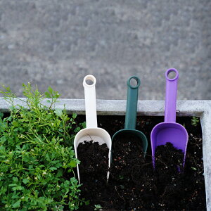 K[fjOc[Zbg F3_Zbg XRbv vX`bN yp |pi y Vx  _Ǝ A ͔| 뉀 A 񂹐A ƒ؉ |pi g